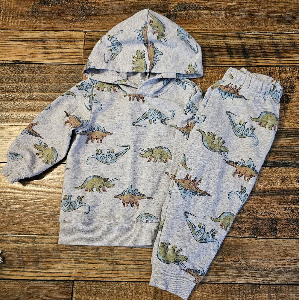 Carter's Baby Boy Hooded Shirt And Pants Size 12M